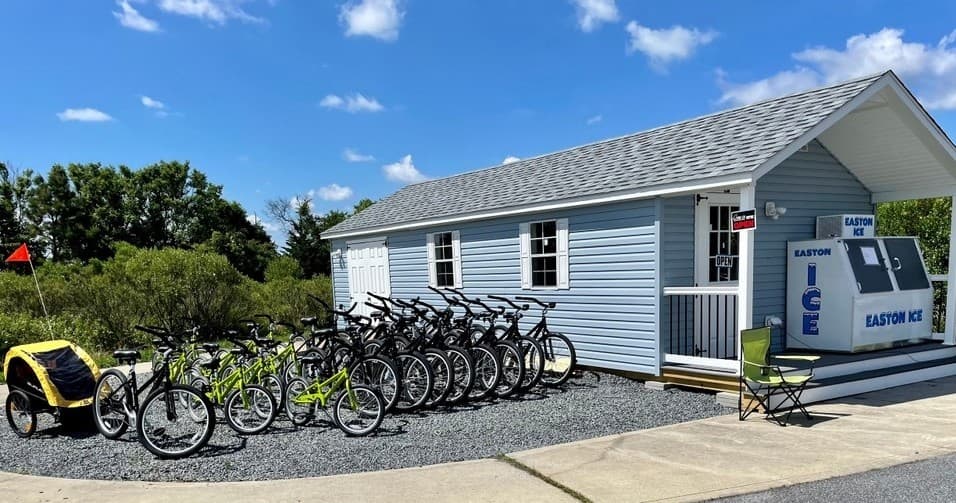 Half Day Bike Rental - Visitor Center