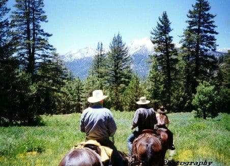 All Day Ride - Cottonwood