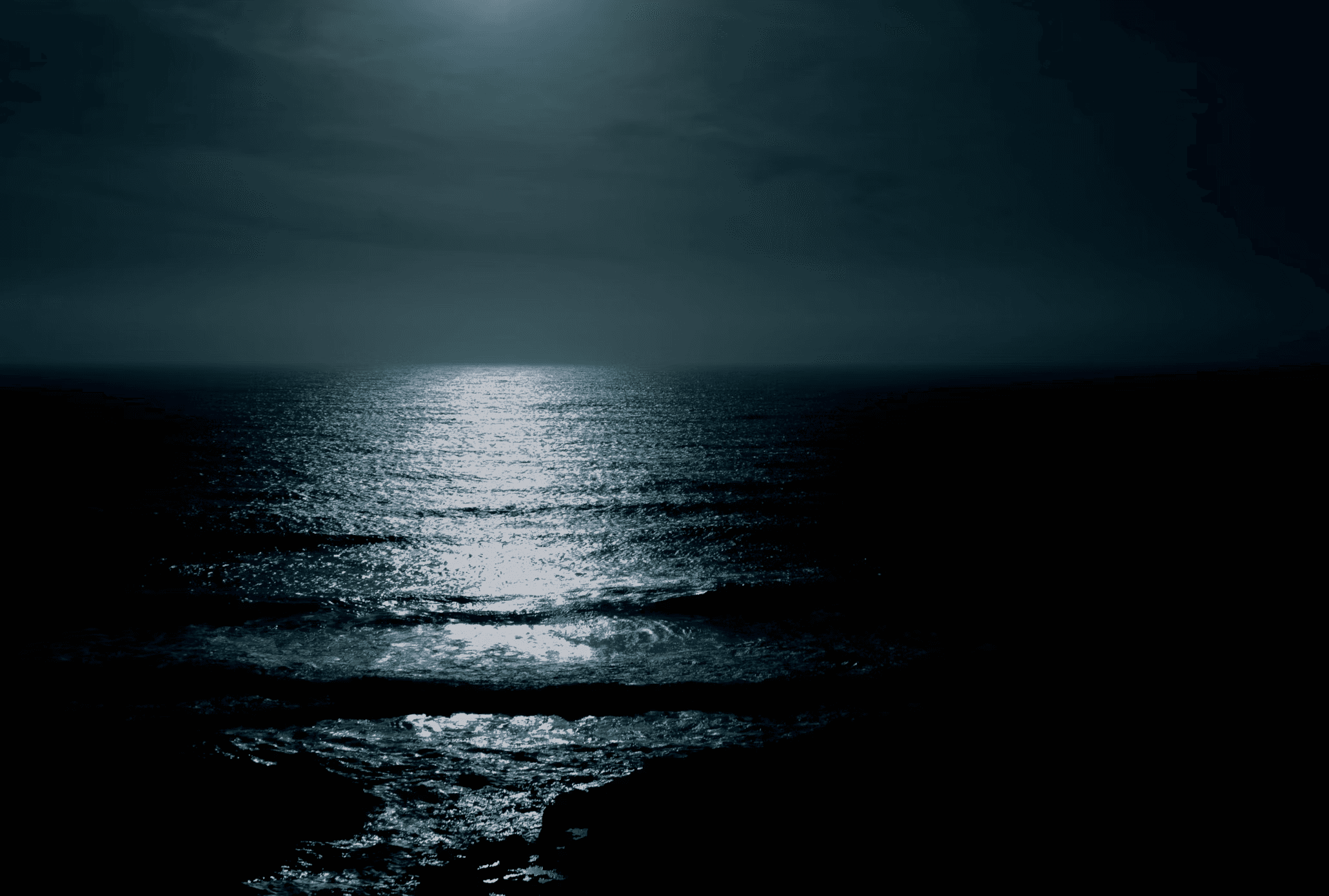 Night Harbor Tour