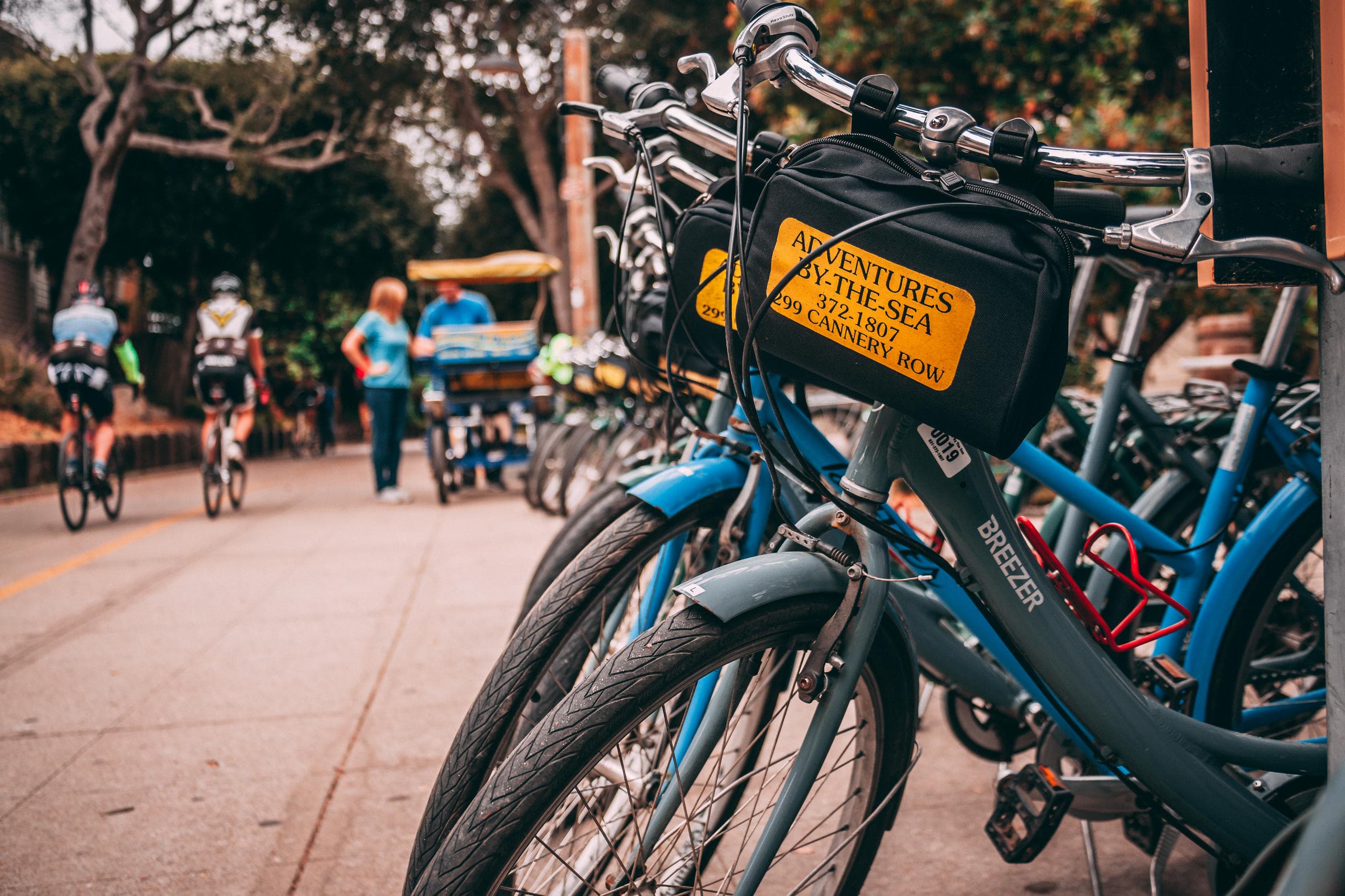 Traditional Bicycle Rental