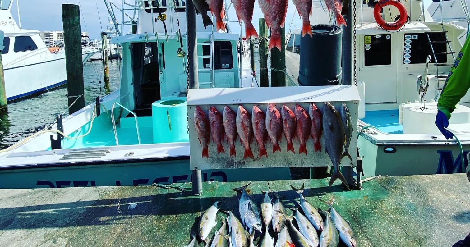 12-Hour Fishing Charter