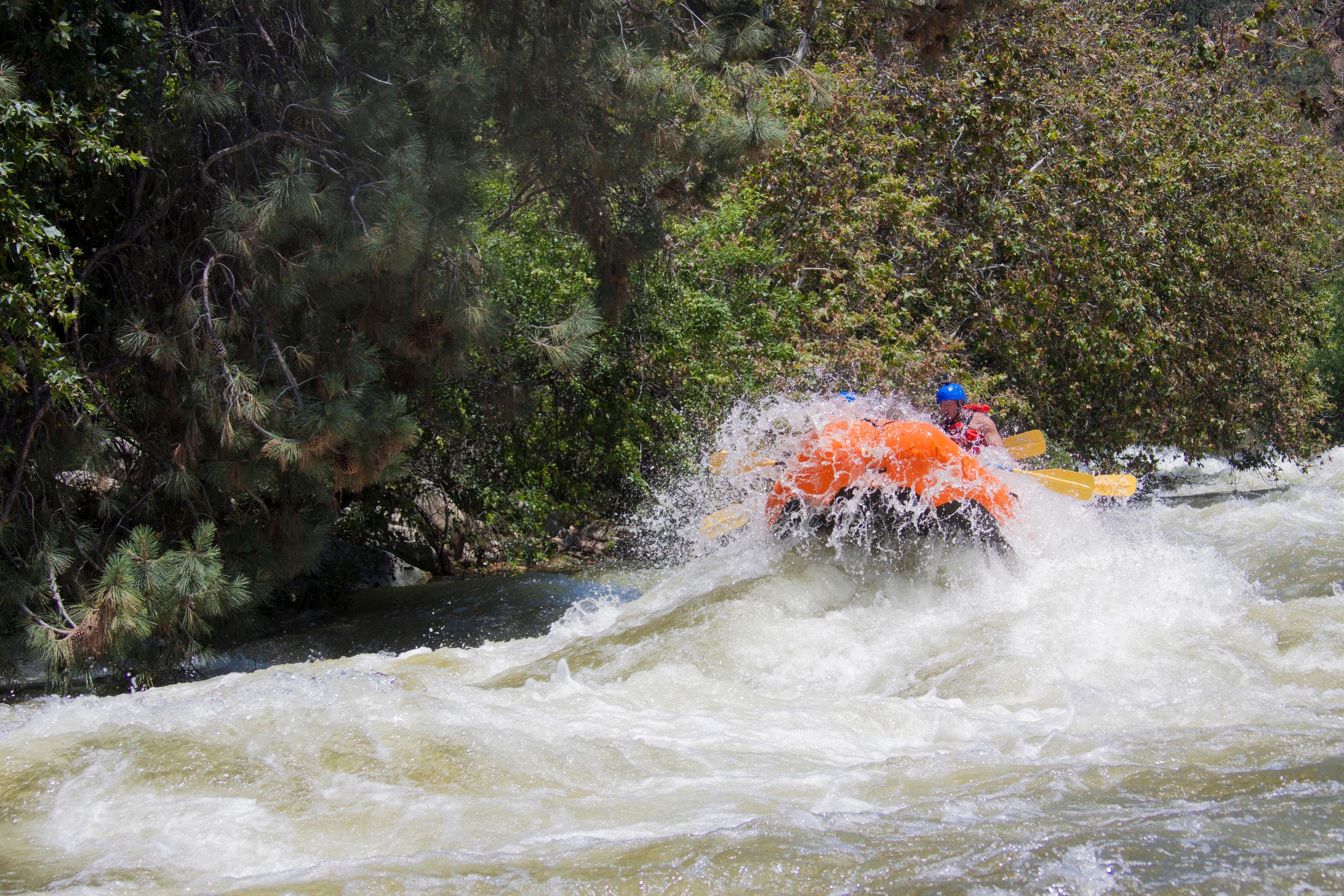 Lower Kern Half Day Class IV