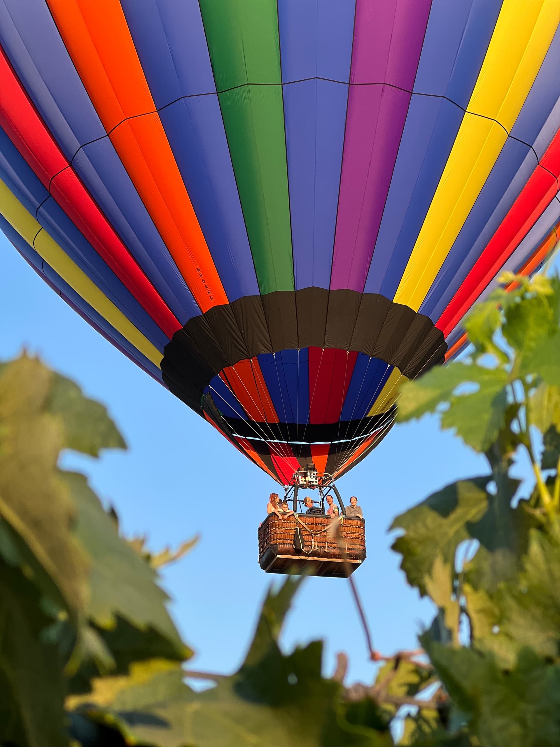 Shared Sunrise Hot Air Balloon Flight