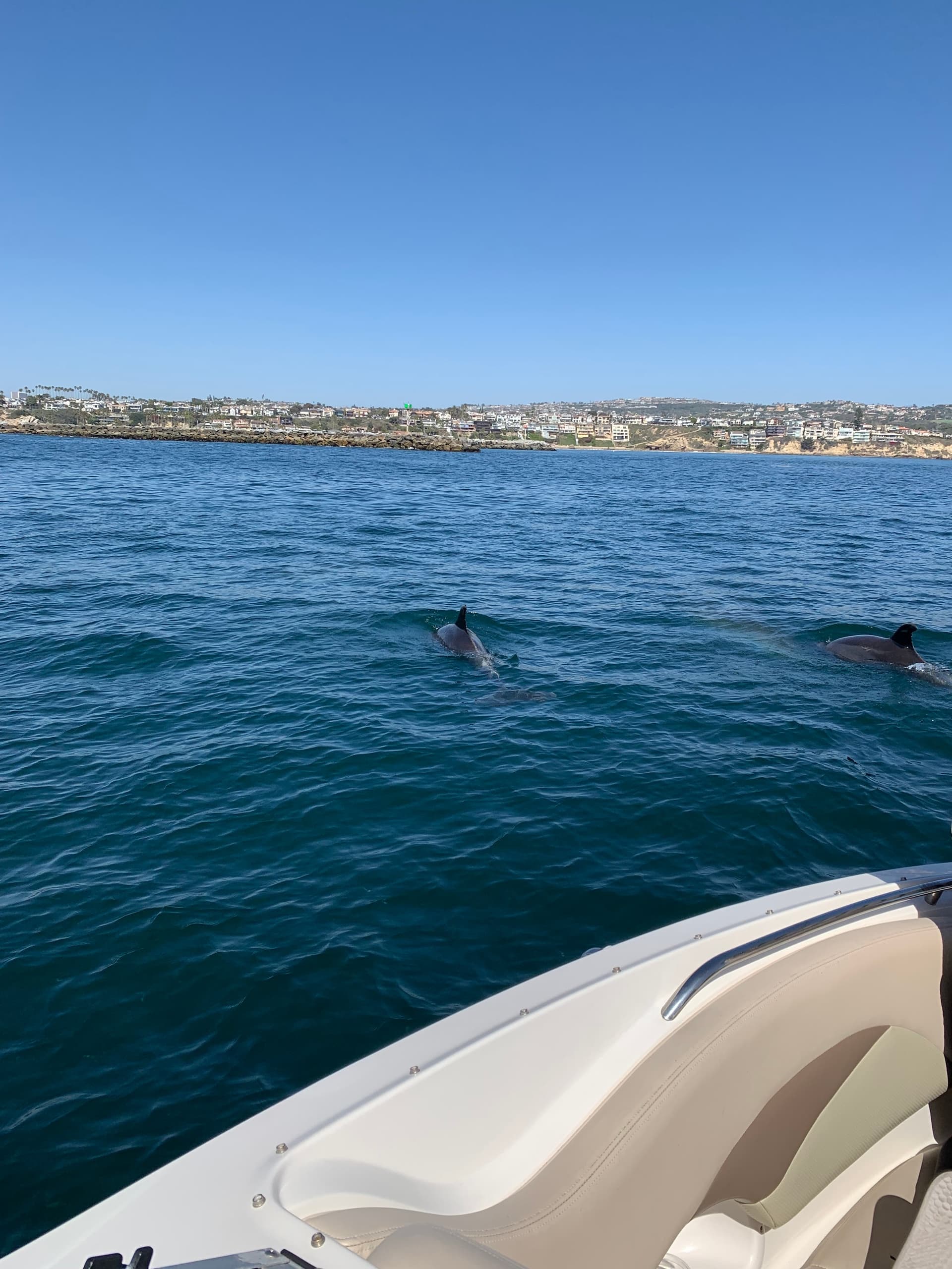 Chaparral 2 Hour inland Ocean or Harbor Tour