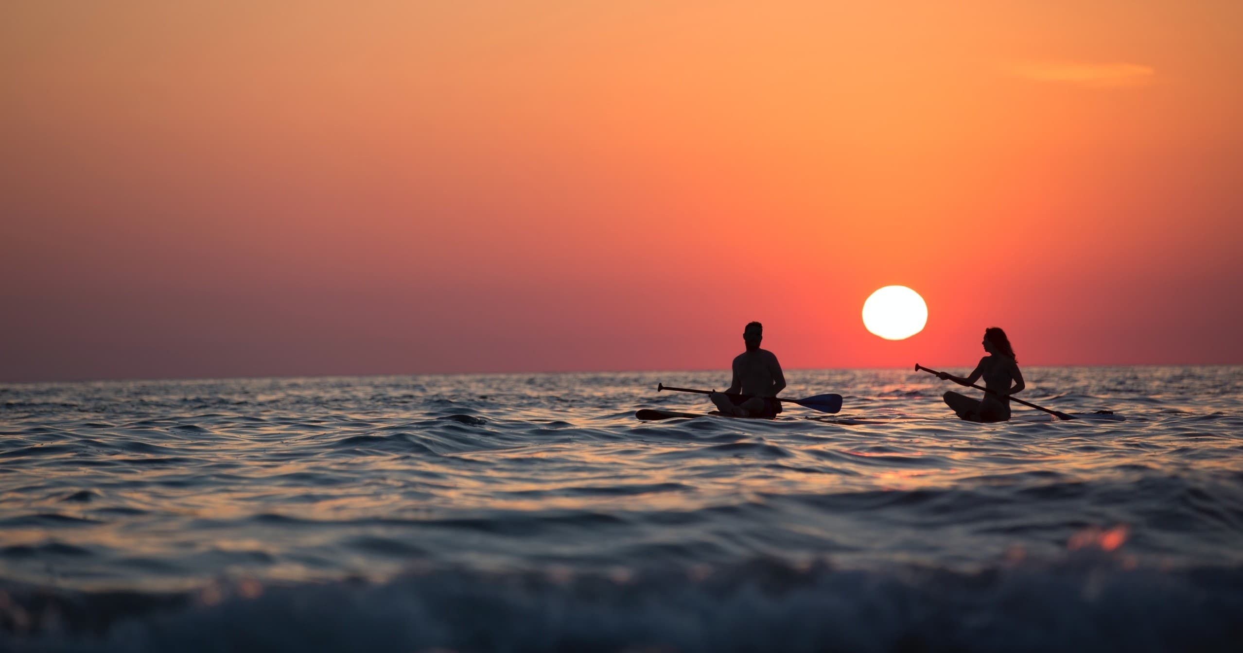 Kayak & Paddleboard Rentals