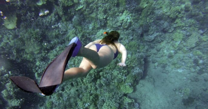 Sail and Snorkel Adventures