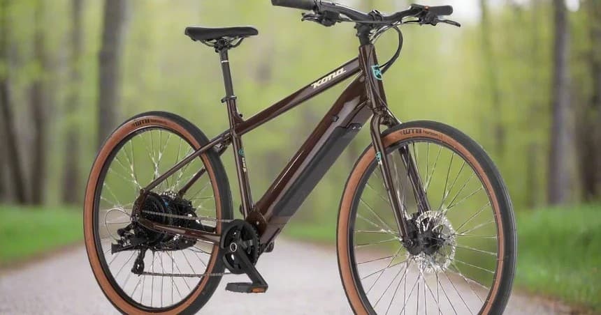 LARGE Kona Dew HD Electric Bike Rentals
