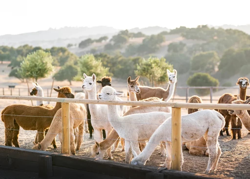 Ranch Tour