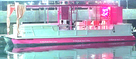 Pretty Pink Boat by Seaforth Boat Rental
