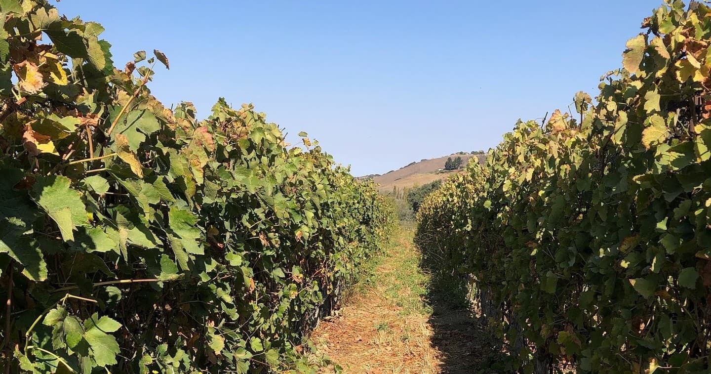 Private Santa Barbara Wine Tasting