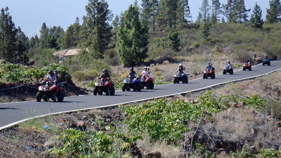 Teide tour 4 hours
