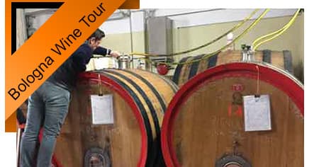 PRIVATE VIP – Bologna Pignoletto Wine Tour – 3 Wineries Visits With Wine Tastings And Gourmet Lunch