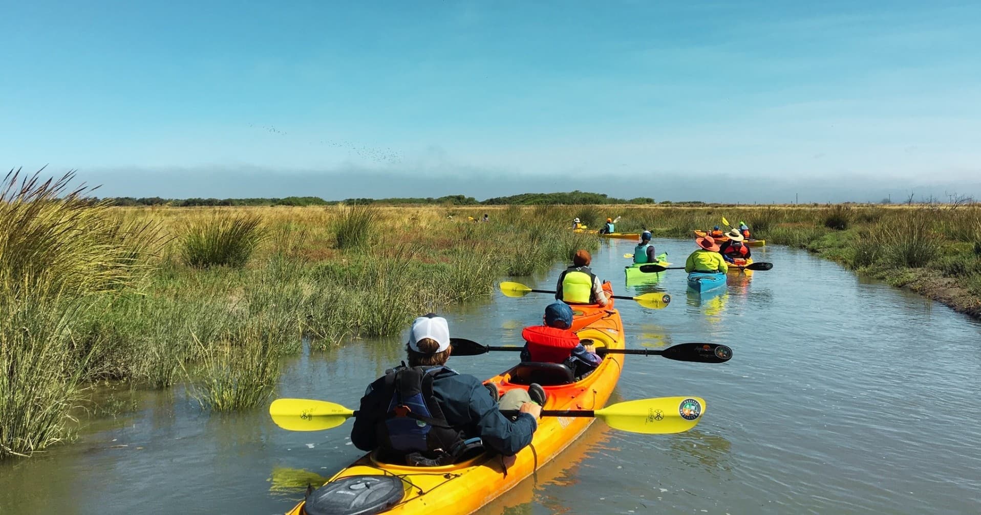 Spectacular bird watching and wildlife