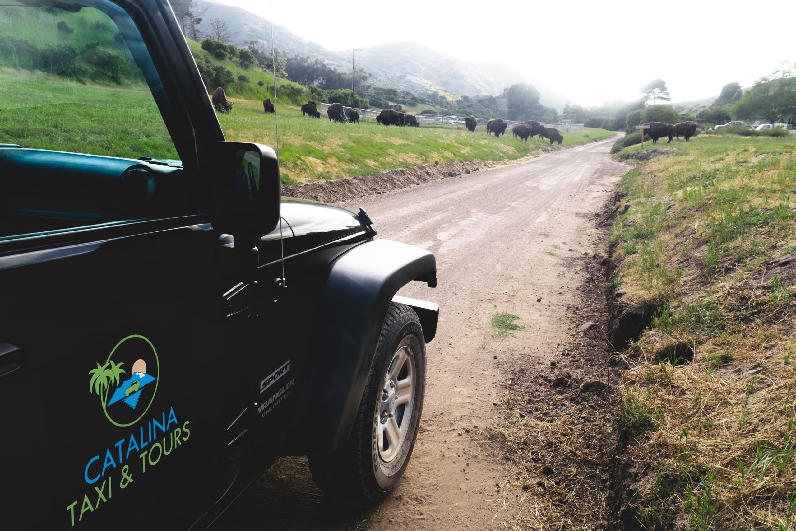 1.5 Hour Private Eco Tour