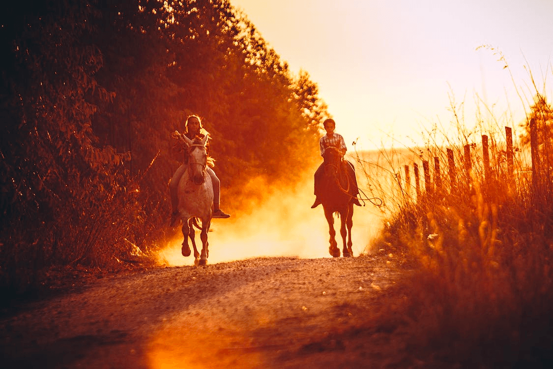 All-Day Ride