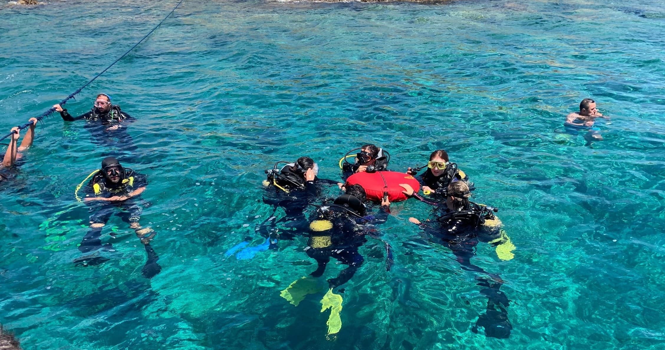 PADI ReActivate