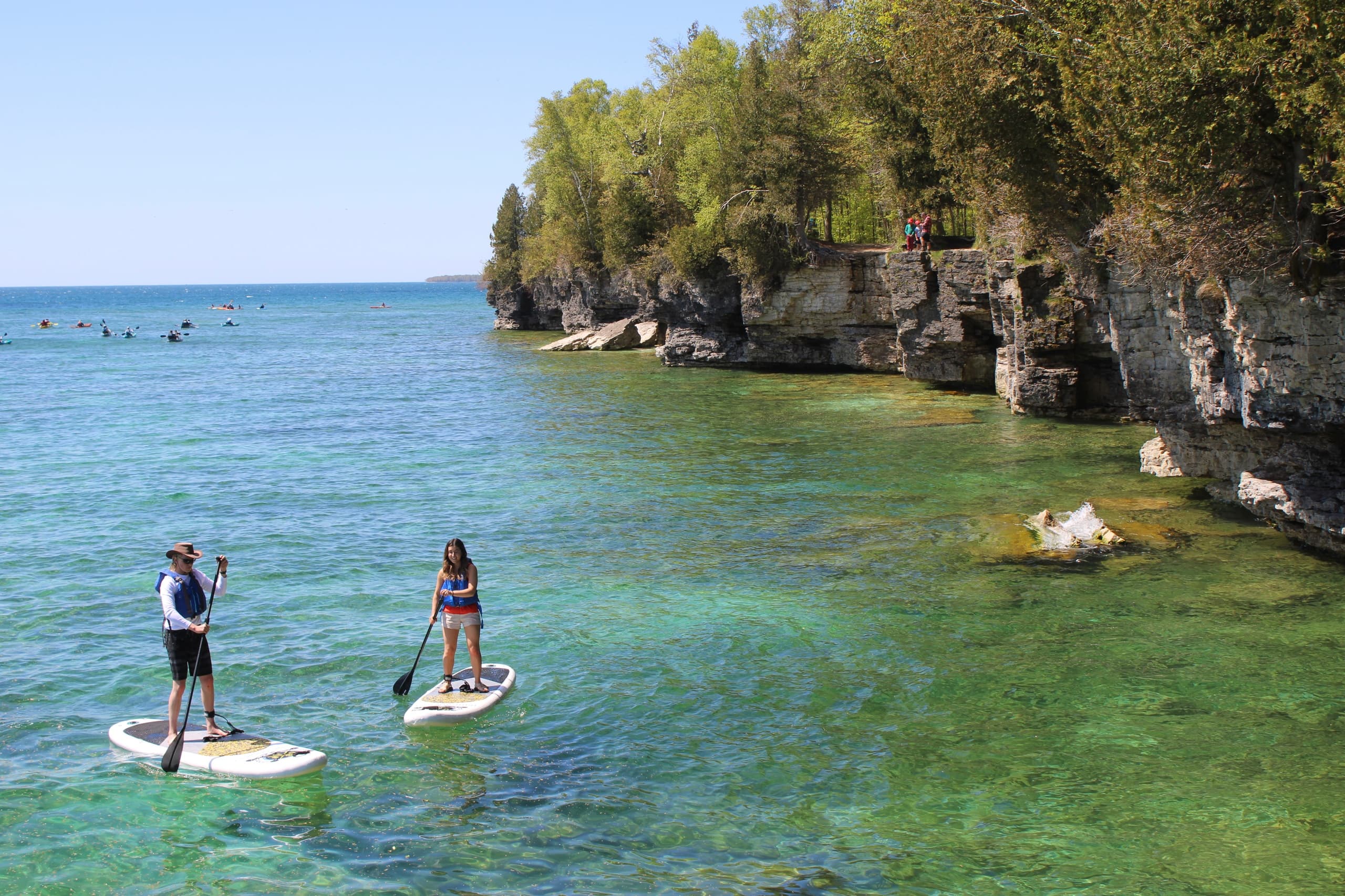 Paddle Board Rental