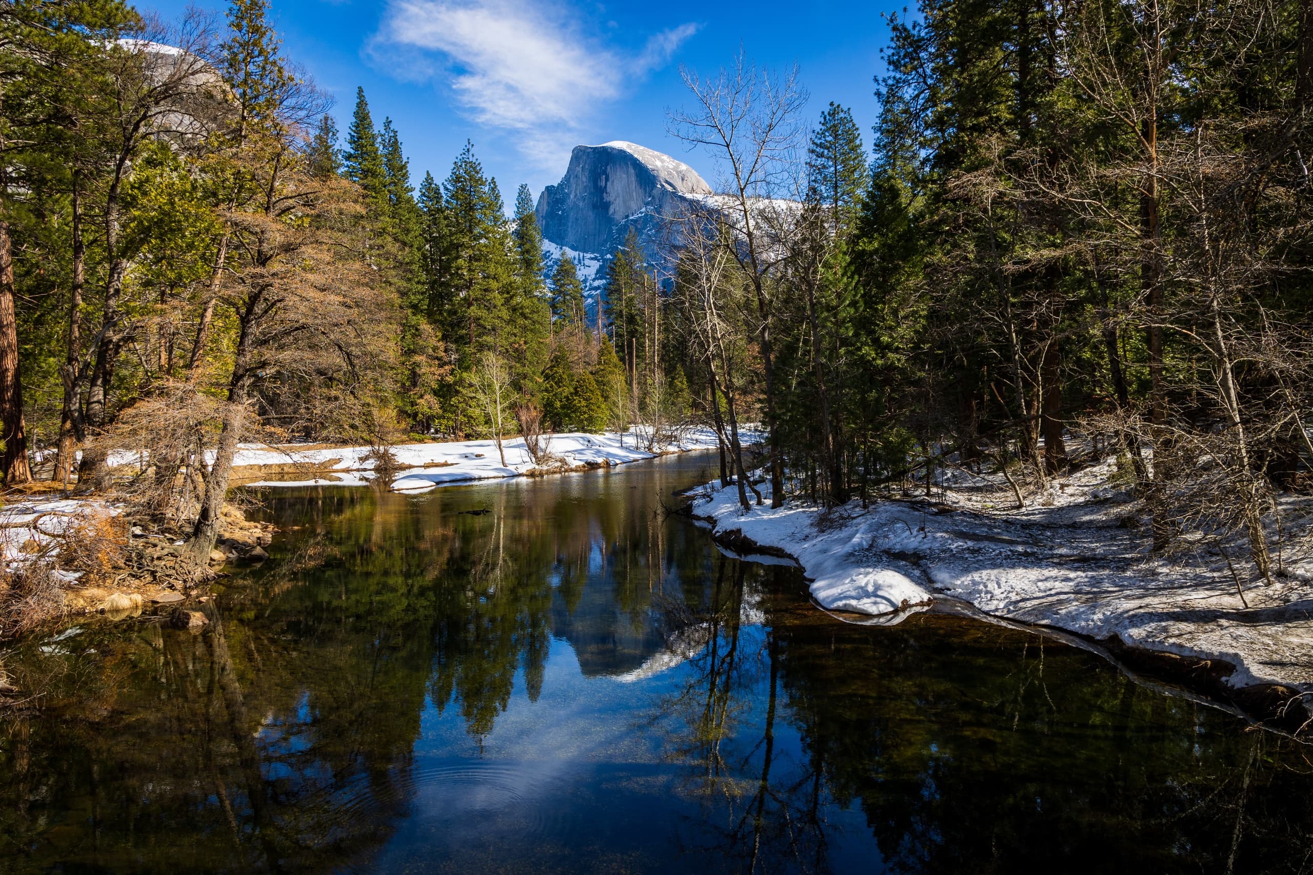Winter Wonderland- Semi Private Yosemite Valley Floor Tour