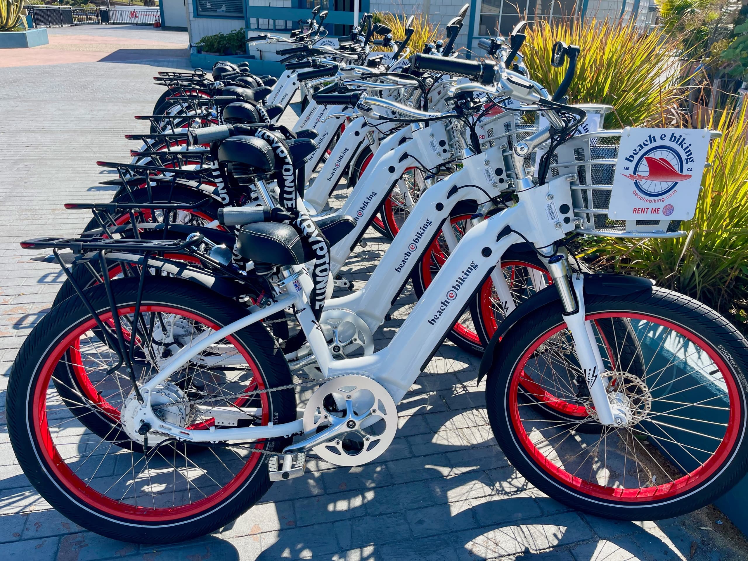 1 Day E-Bike Rental (including overnight)