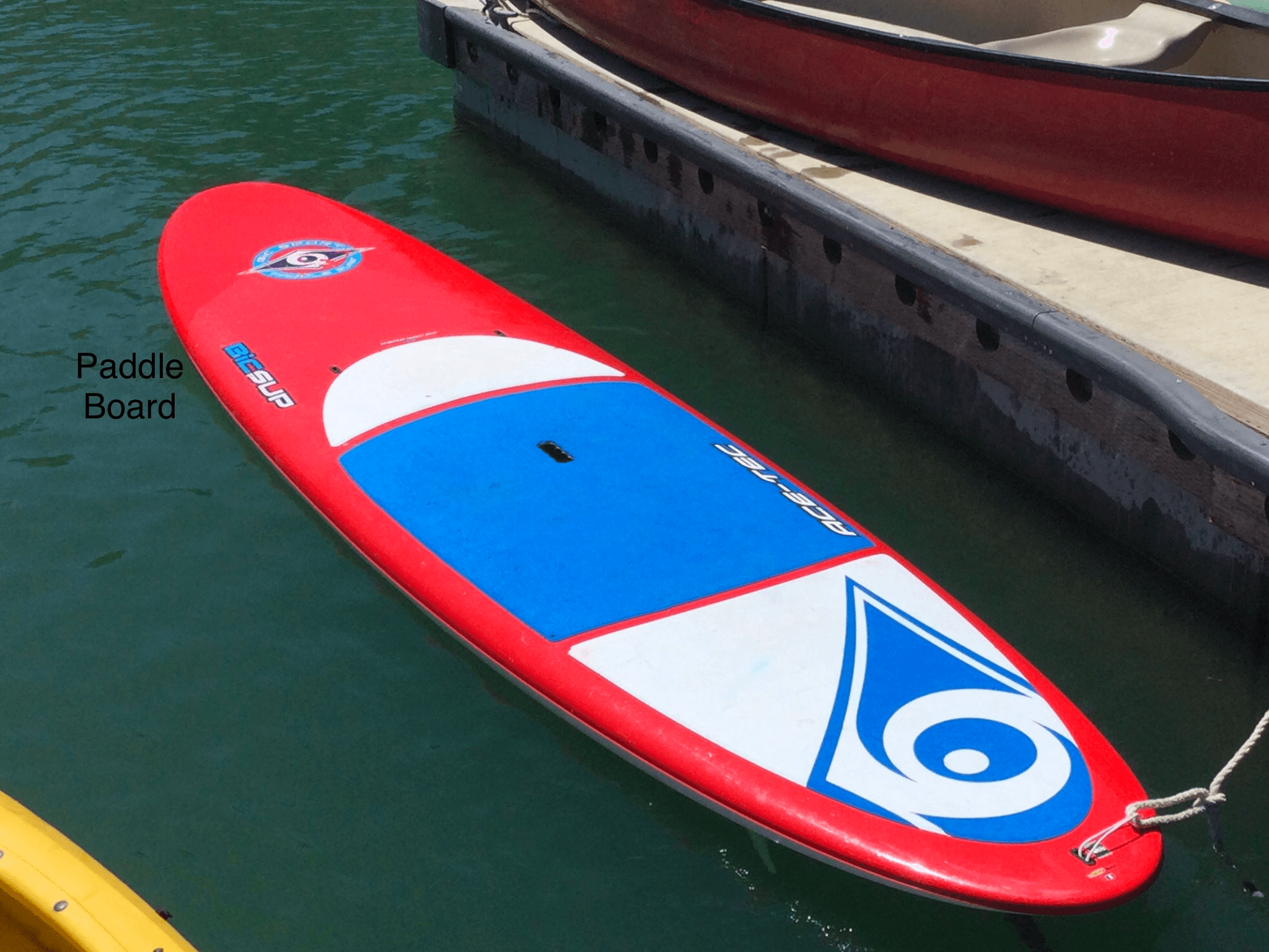 Paddle Board Rental