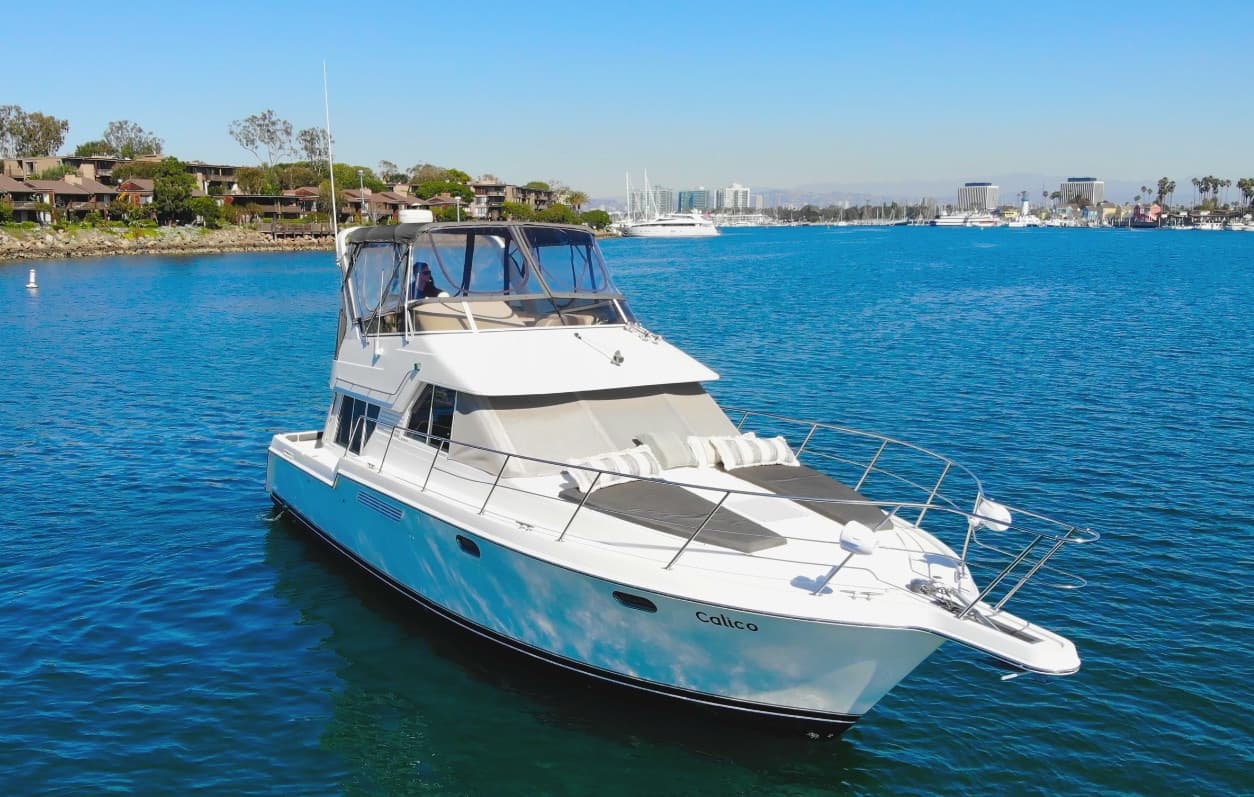 40ft 'Calico' 2 Hour Charter