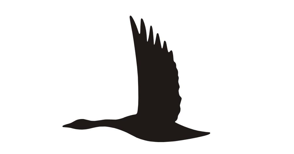 Wild Goose II