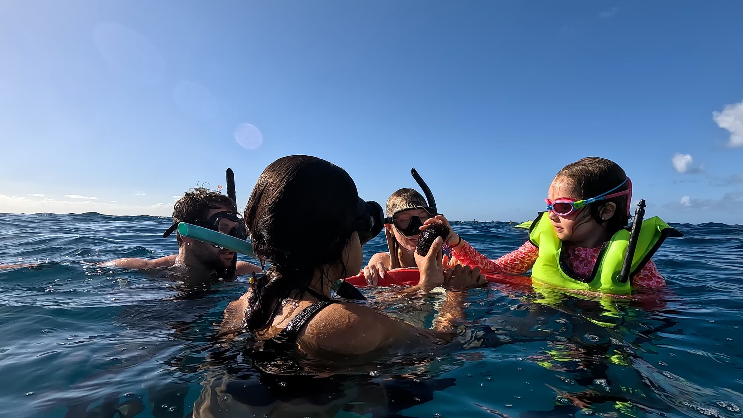 Private Snorkel Excursion