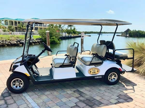 6 Seater Gas Golf Cart