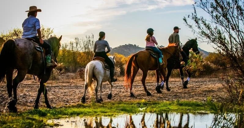 75 Minute Trail Ride