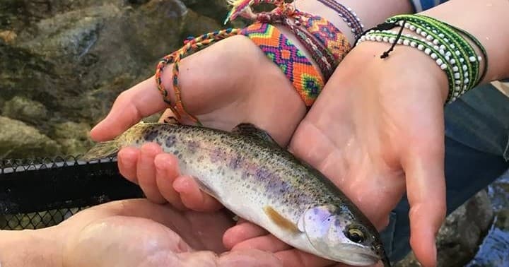 Family Fun Fly Fishing