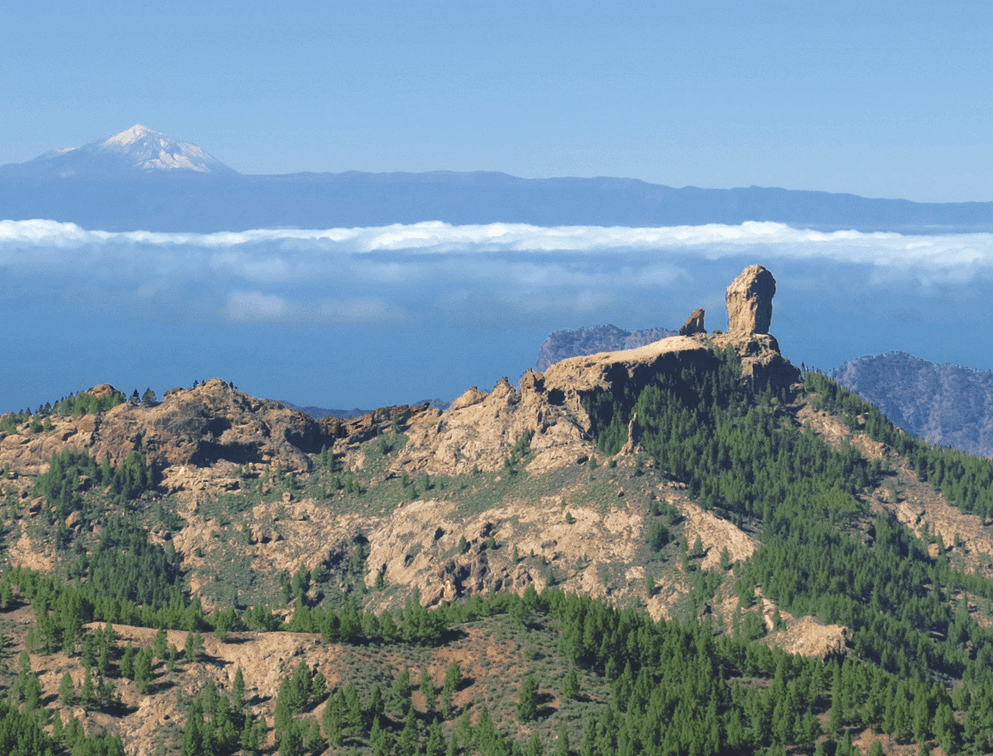Descubre la isla de Gran Canaria