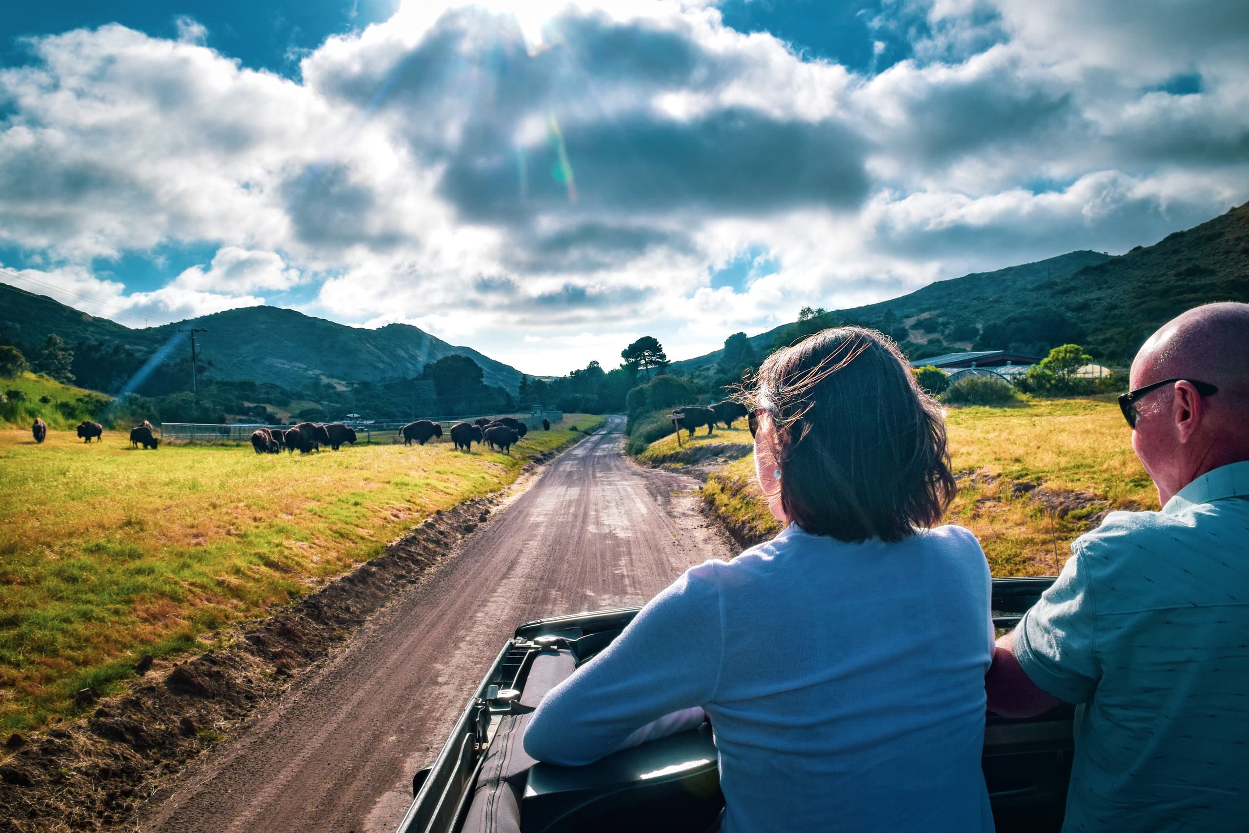 2.5 Hour Private Eco Tour