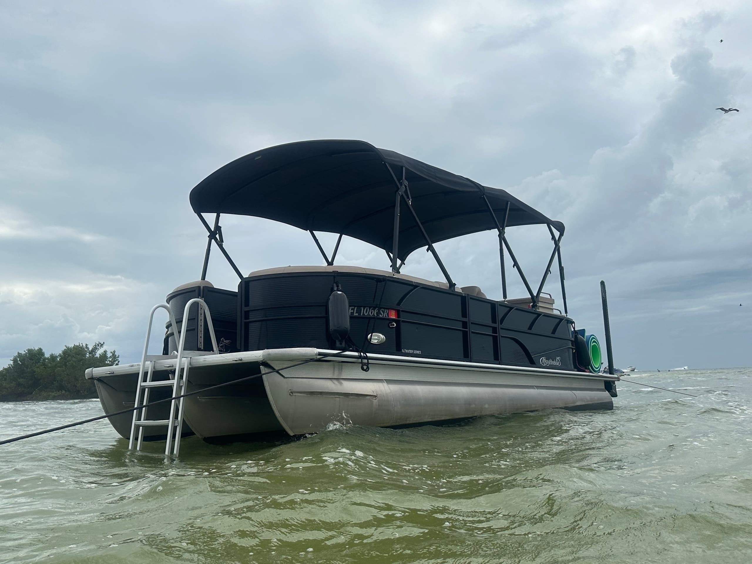 Afternoon Beach Cruise