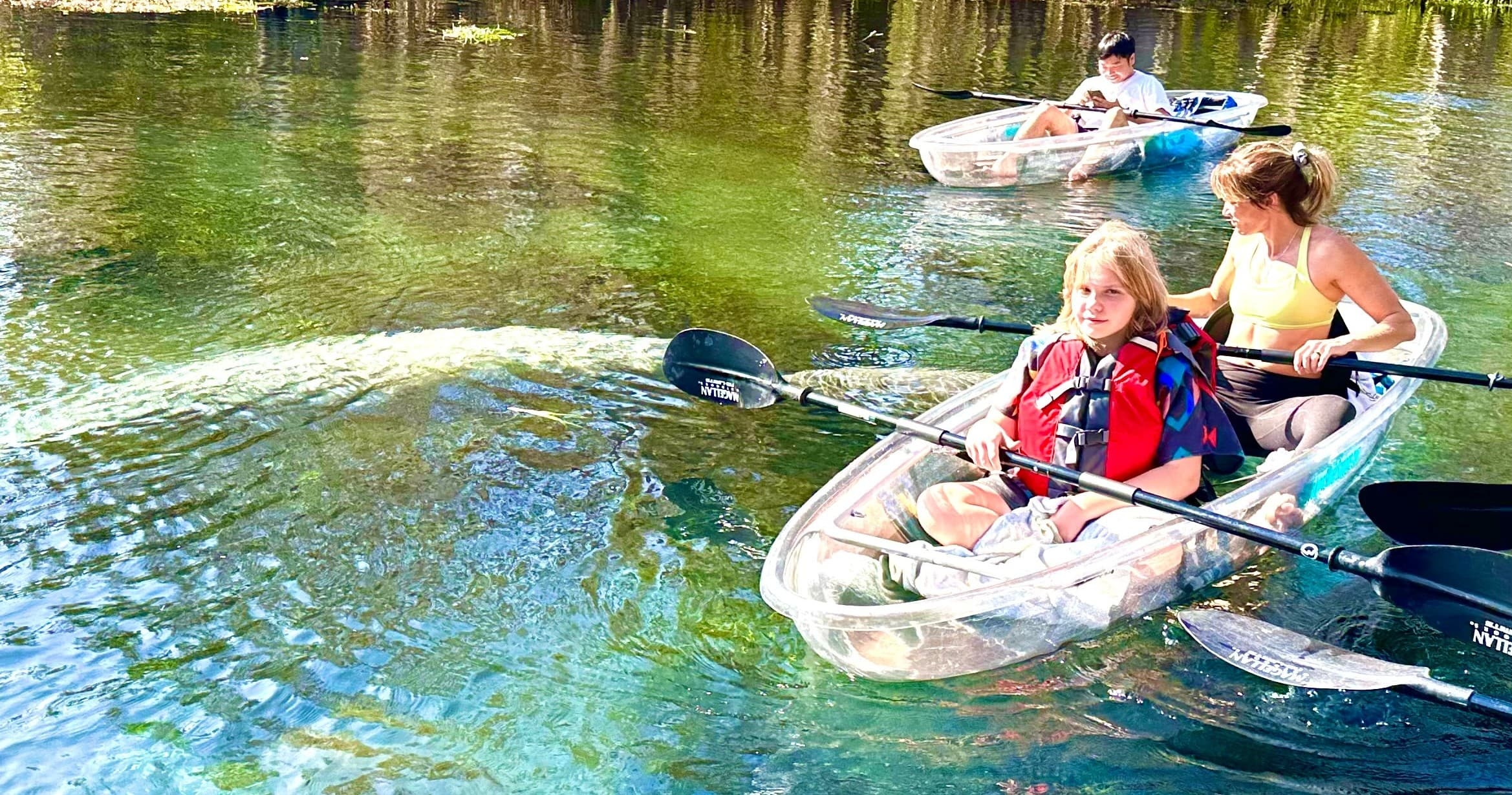 2 Hour Clear Kayak and Paddle Board Rentals
