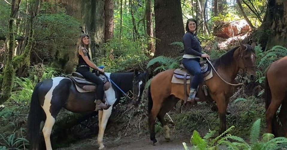 Redwood Forest Ride