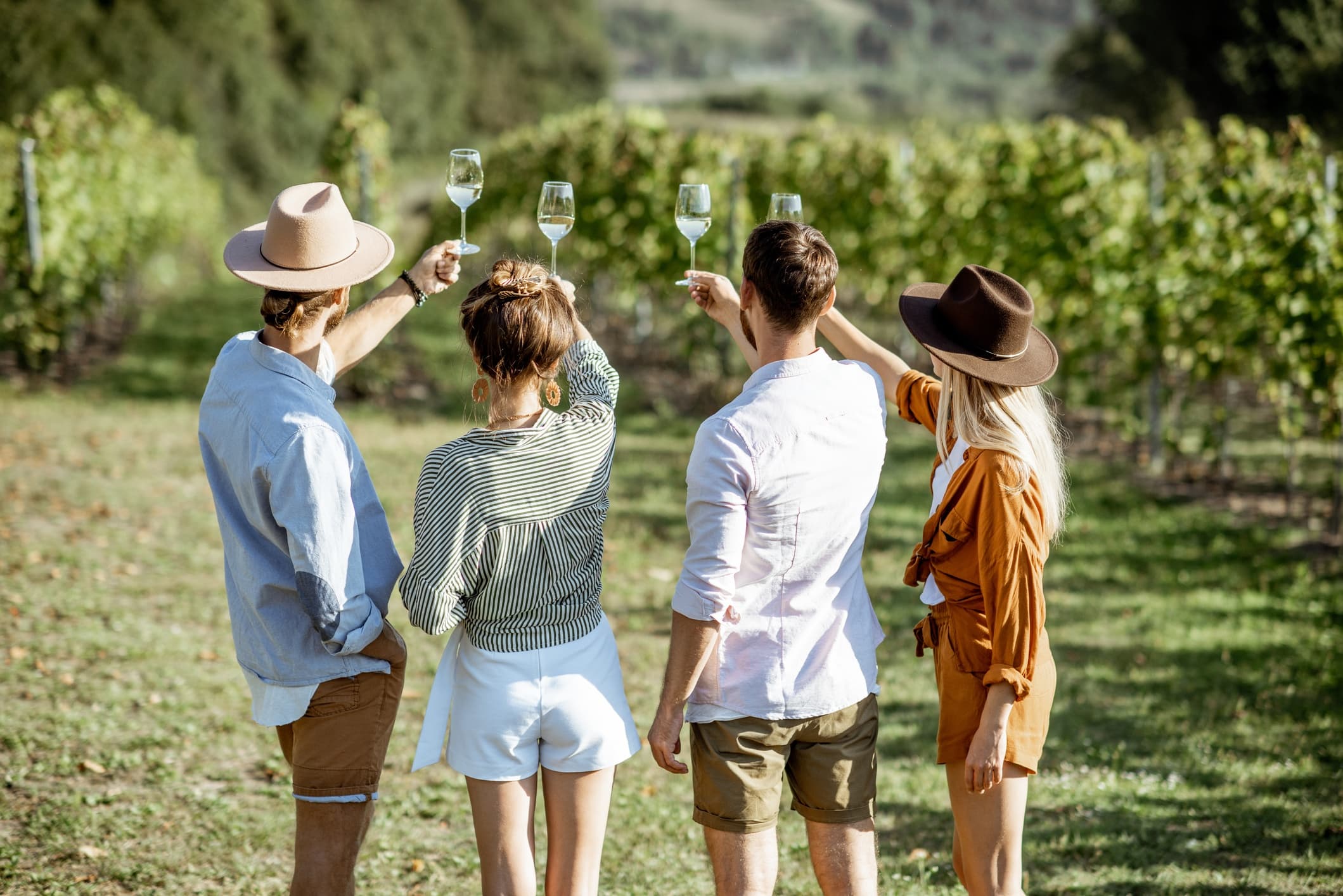 Deluxe Wine Tour & Lunch