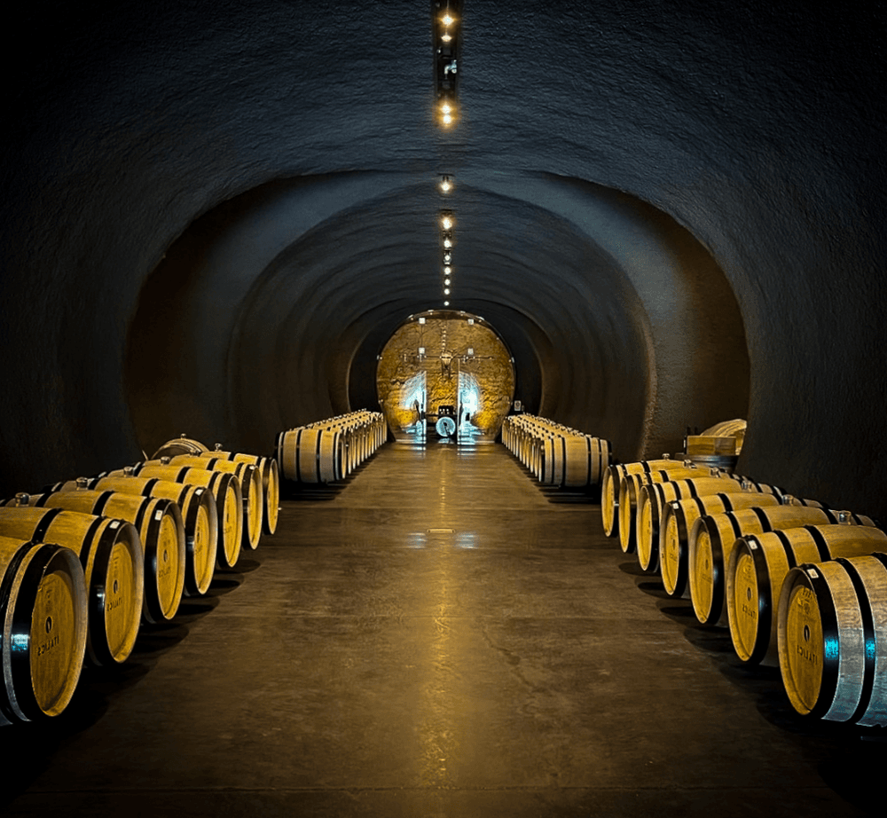 4 Day Premium Package Wine Tour SUV (Start time is Flexible)