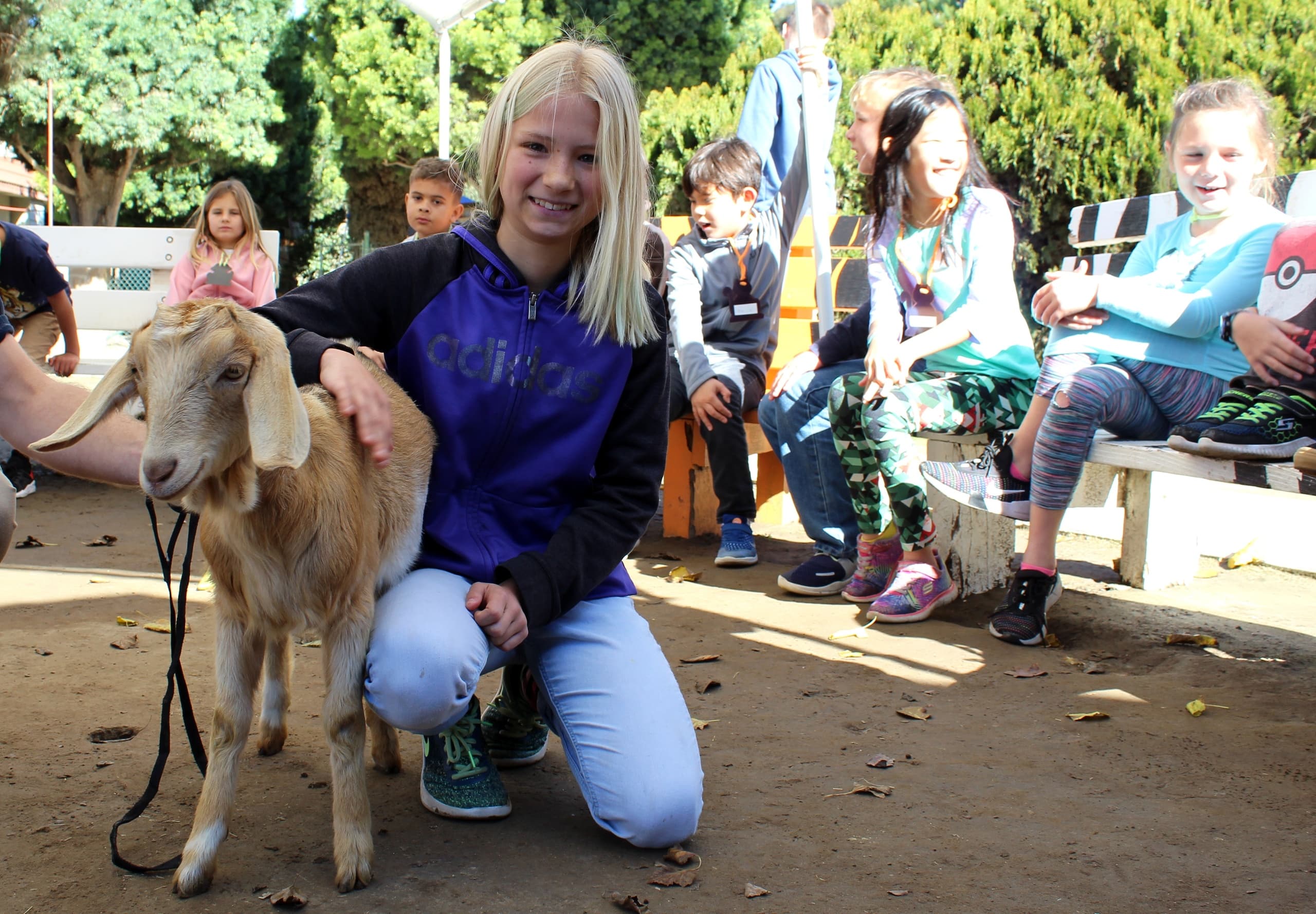 Interactive Animal Encounter