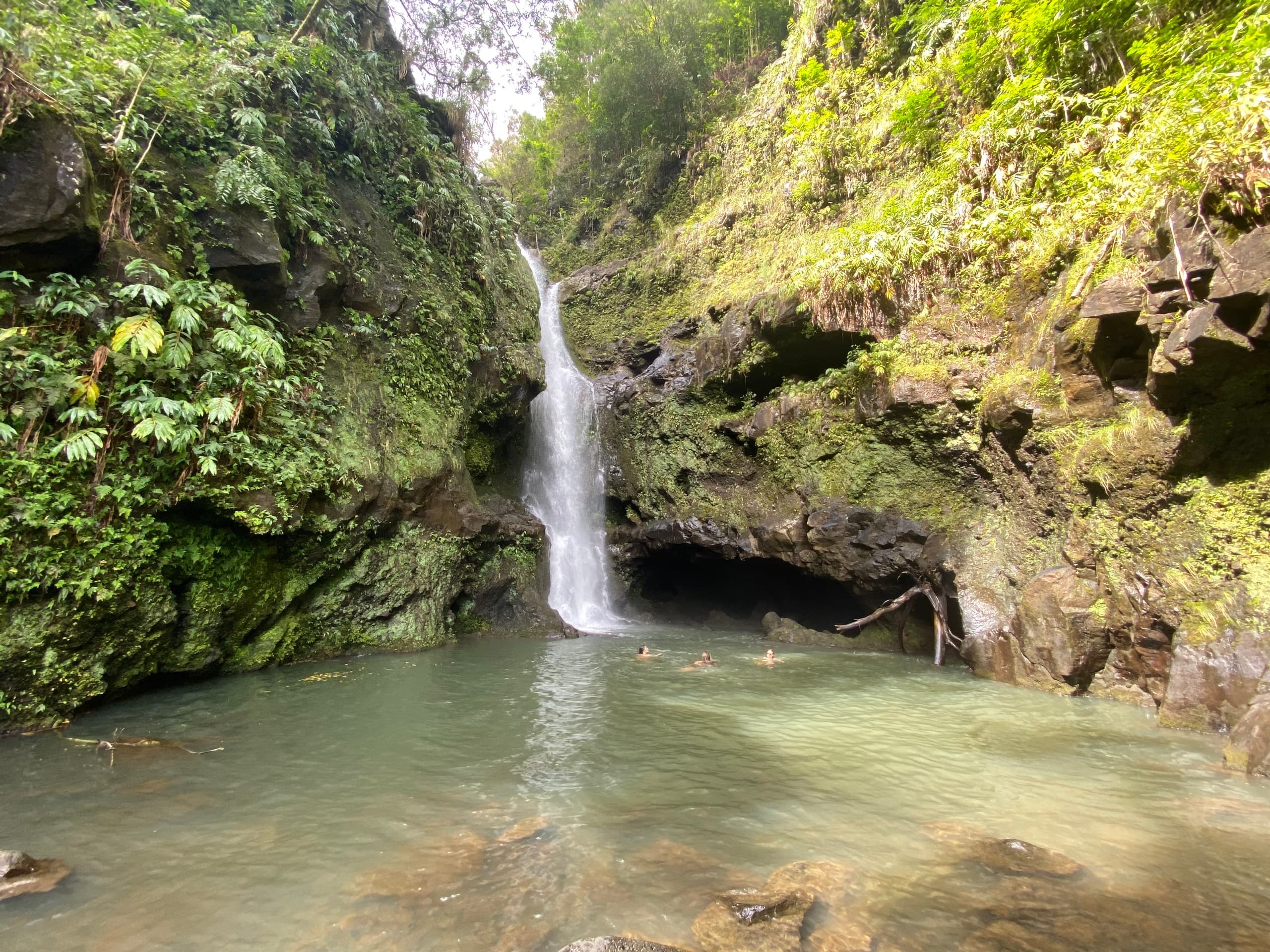 Road to Hana adventure
