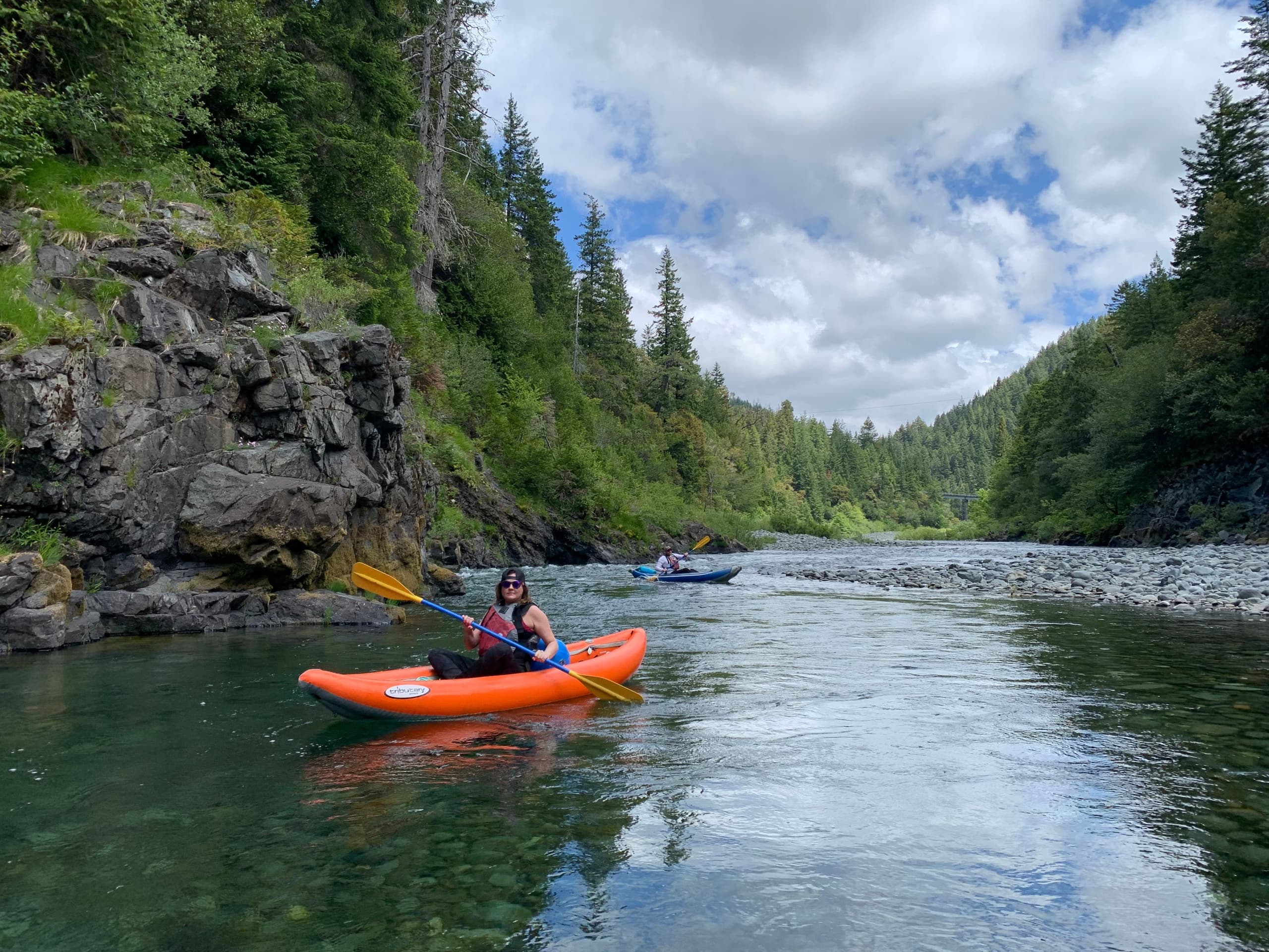 Redwoods by River Half-Day - Lower Stretch