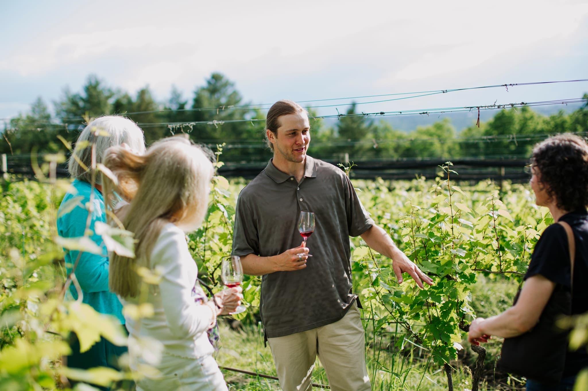 Estate Tasting & Vineyard Tour