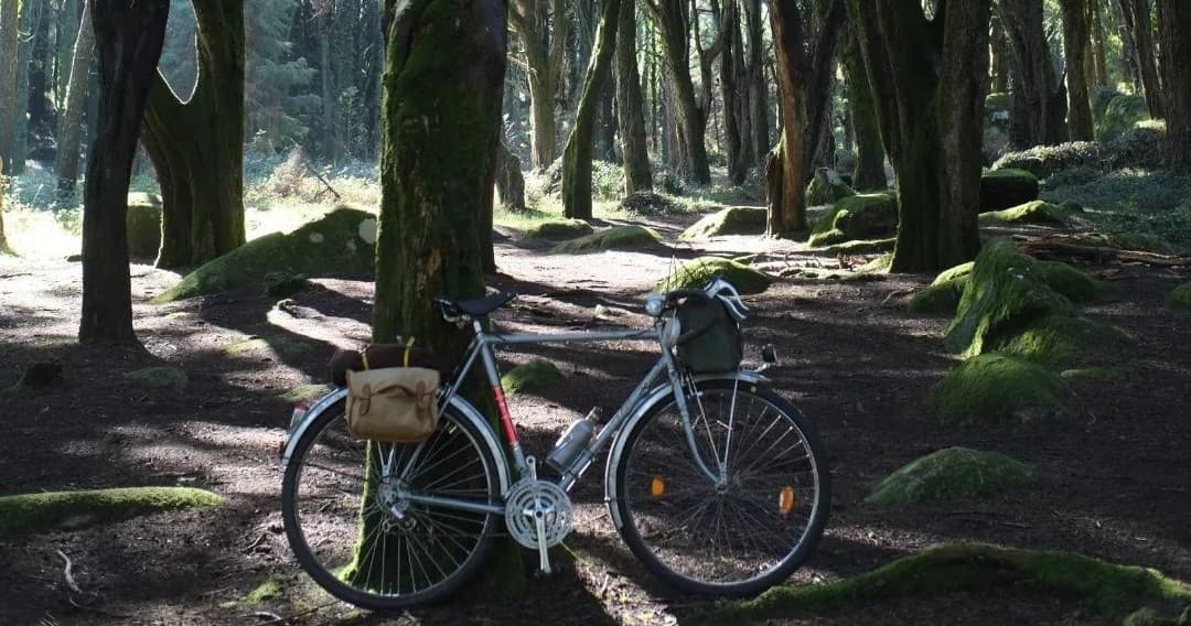 Monsanto Vintage Bike Tour