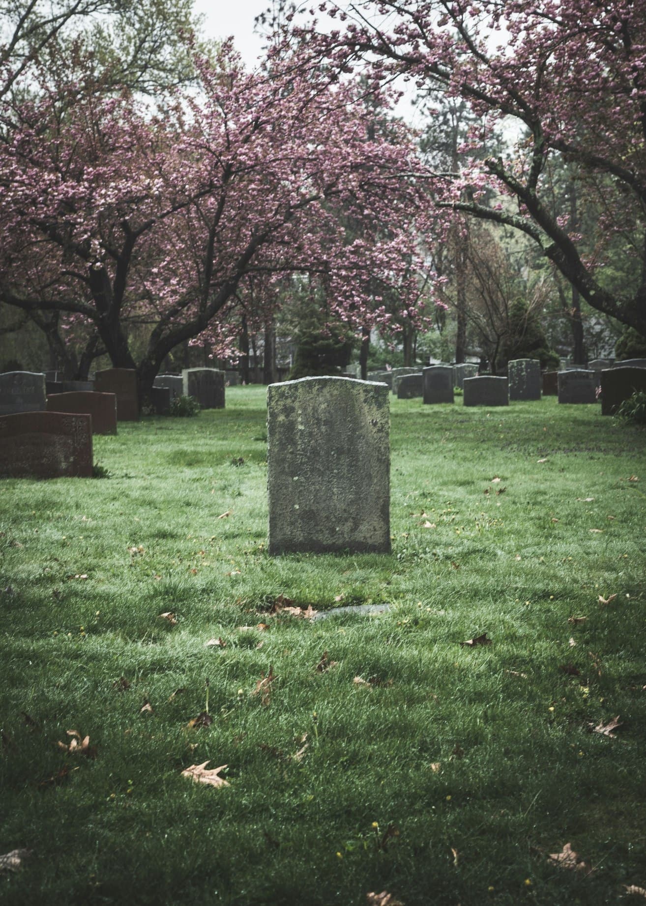 Walking Cemetery Tour