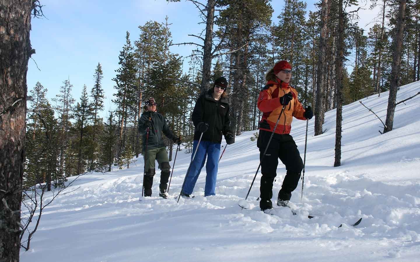 Nordic Touring Skiing
