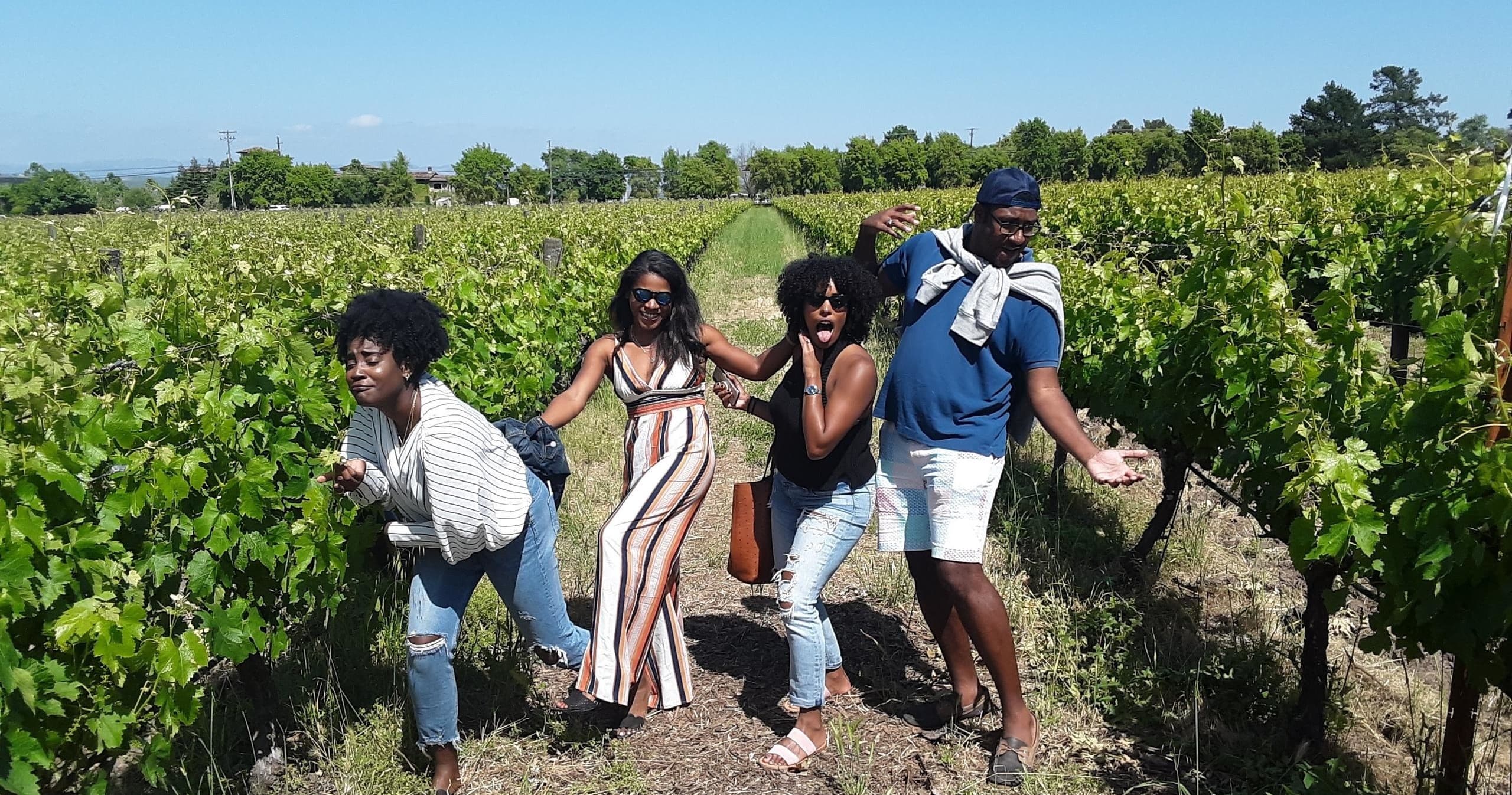 Guided Private Custom Wine Tour to Napa and Sonoma Wine Country