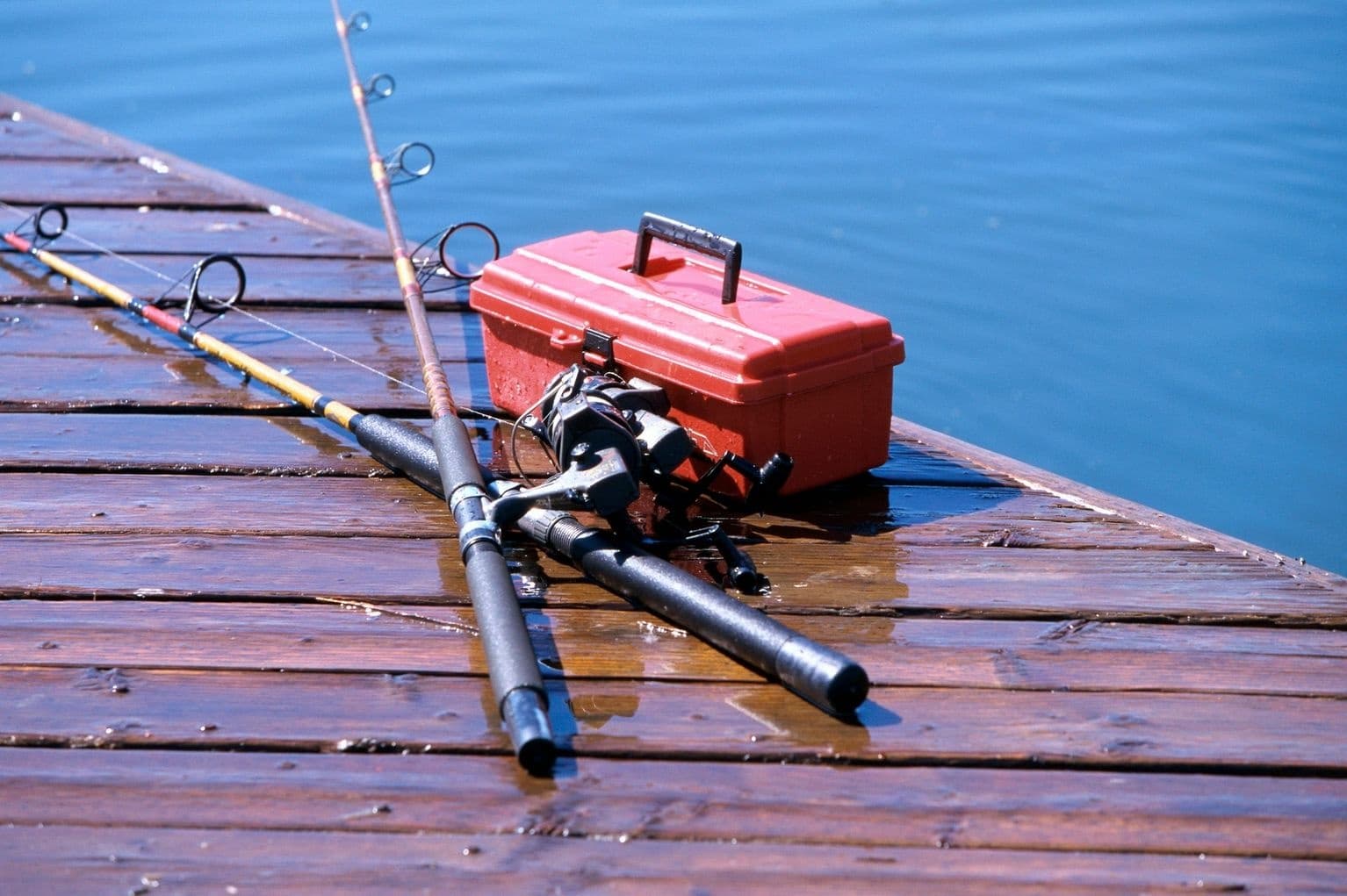Shared Fishing trip