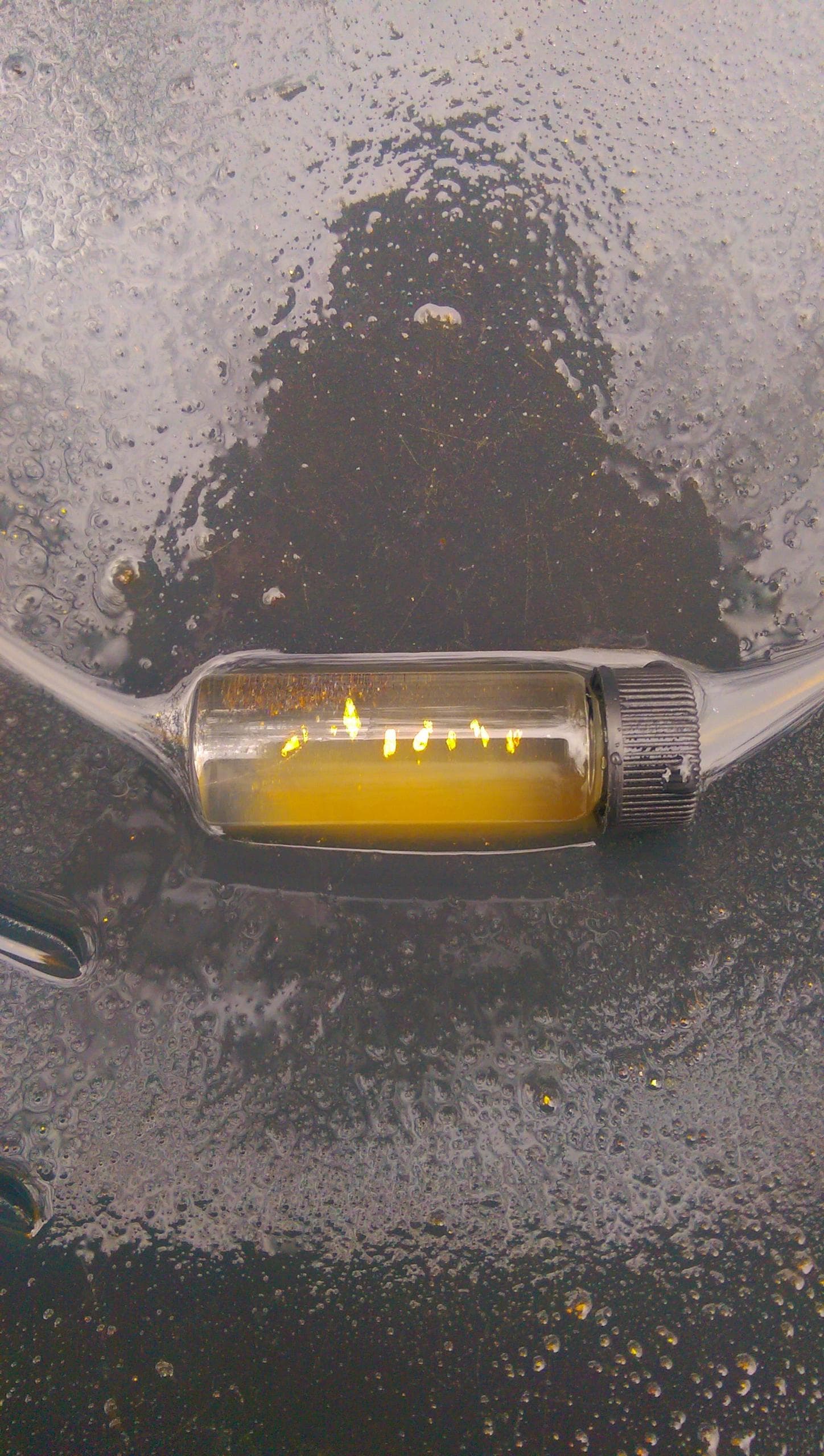 One hour gold panning family special