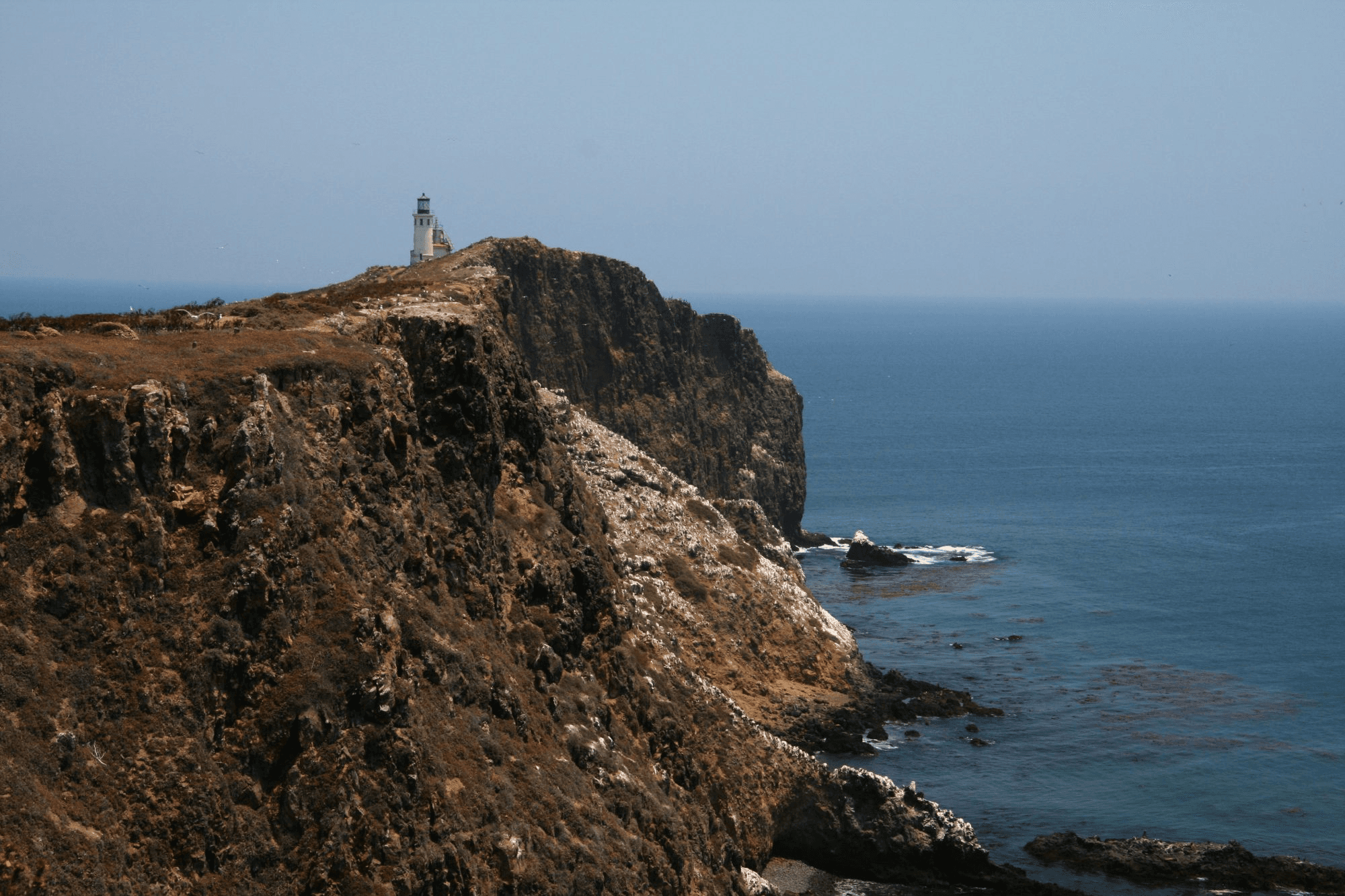 3-Hour Tour • Circle Islands, Dolphins, Anacapa & Santa Cruz Islands