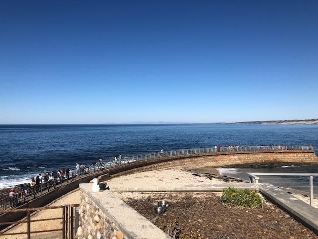 La Jolla Scenic 10K Tour