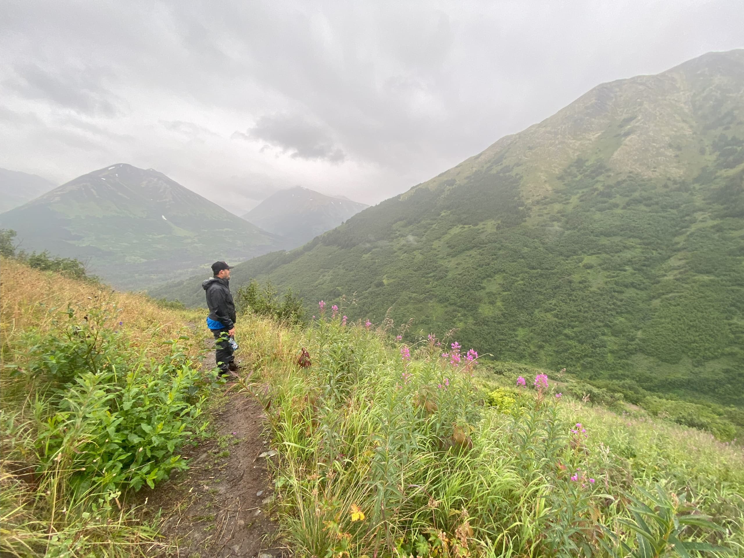 Seward to Anchorage: Hiking and Wildlife Adventure